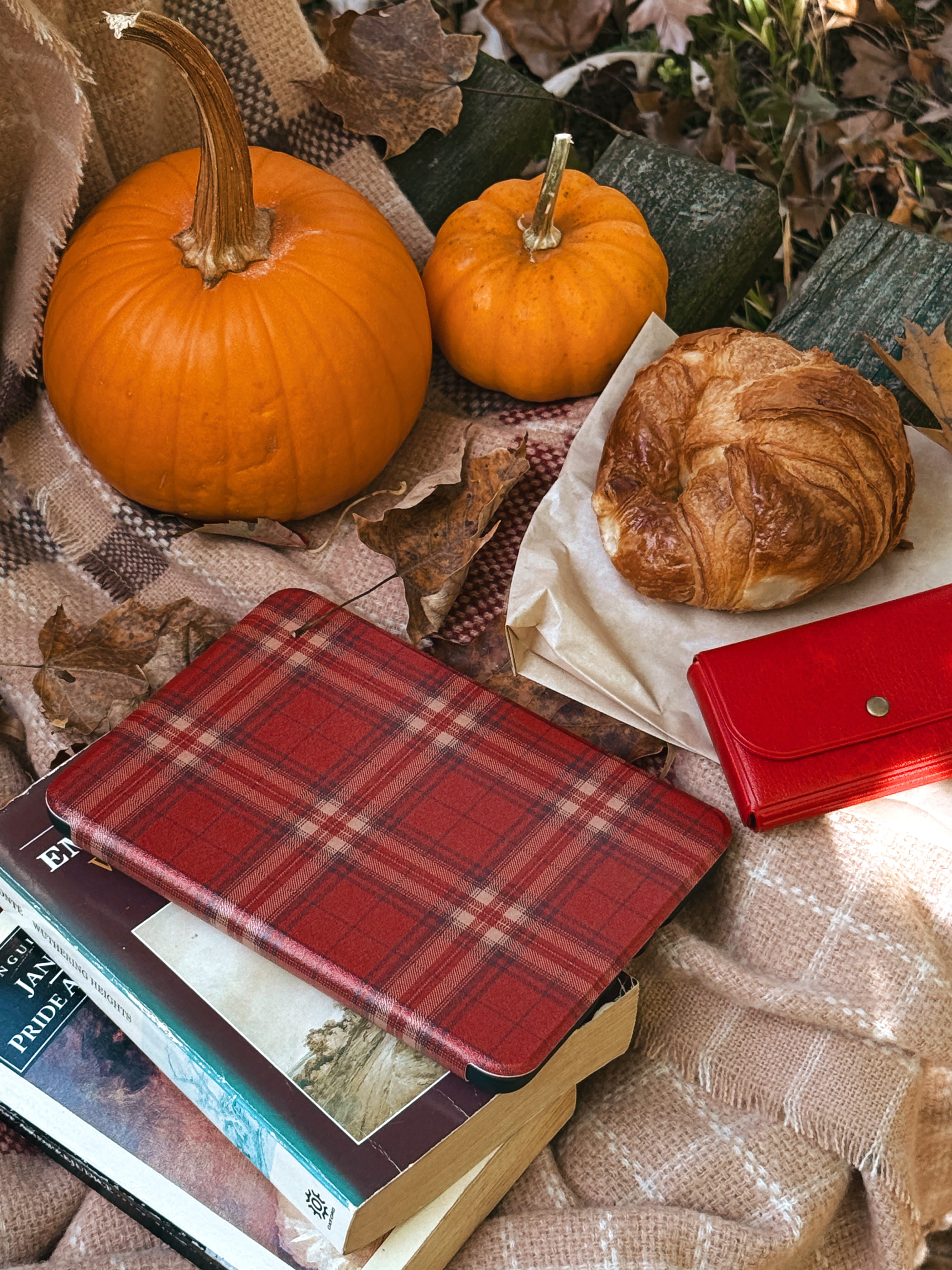 Plaid Shirt Days - Kindle Case