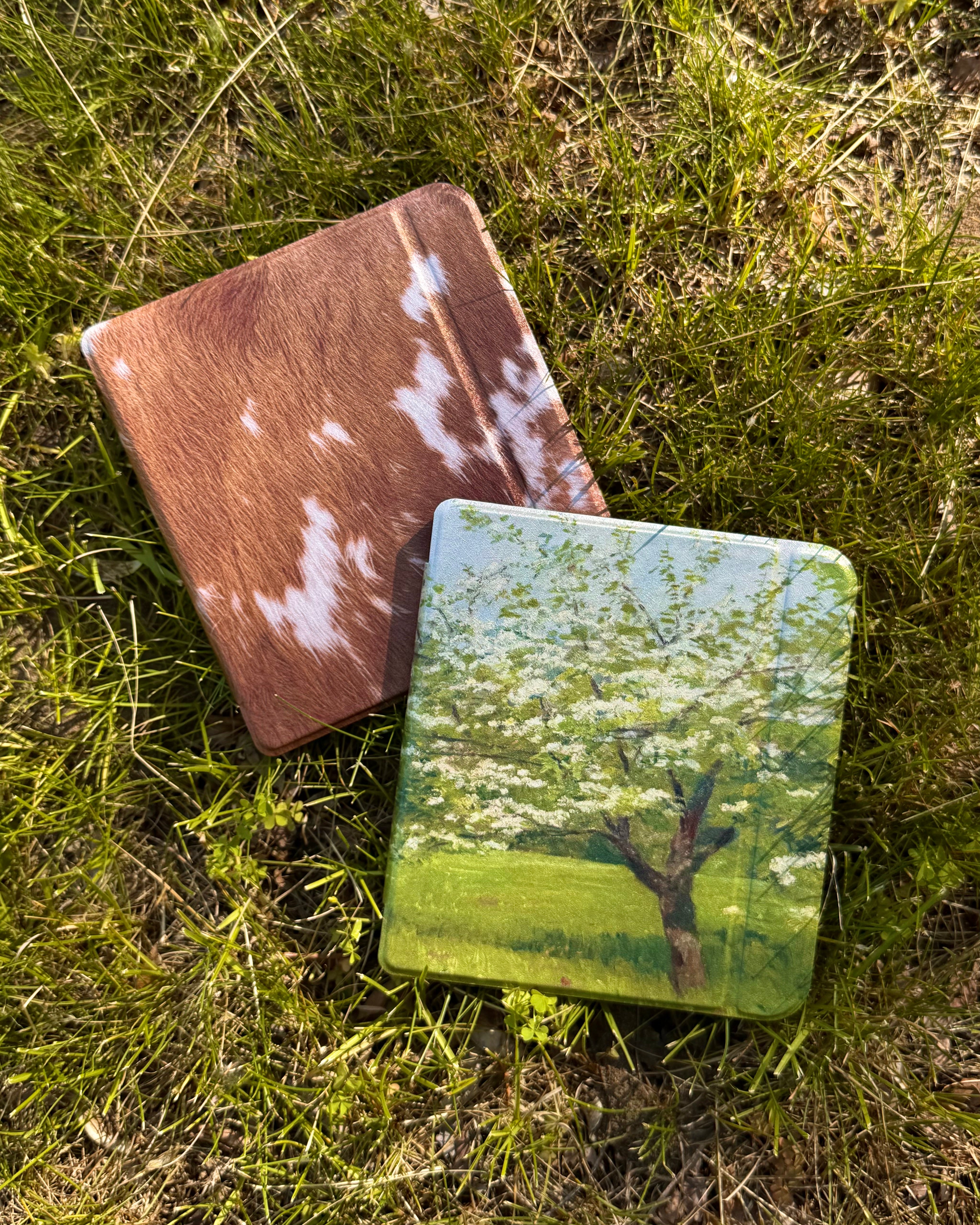 Backroads - Kobo Case