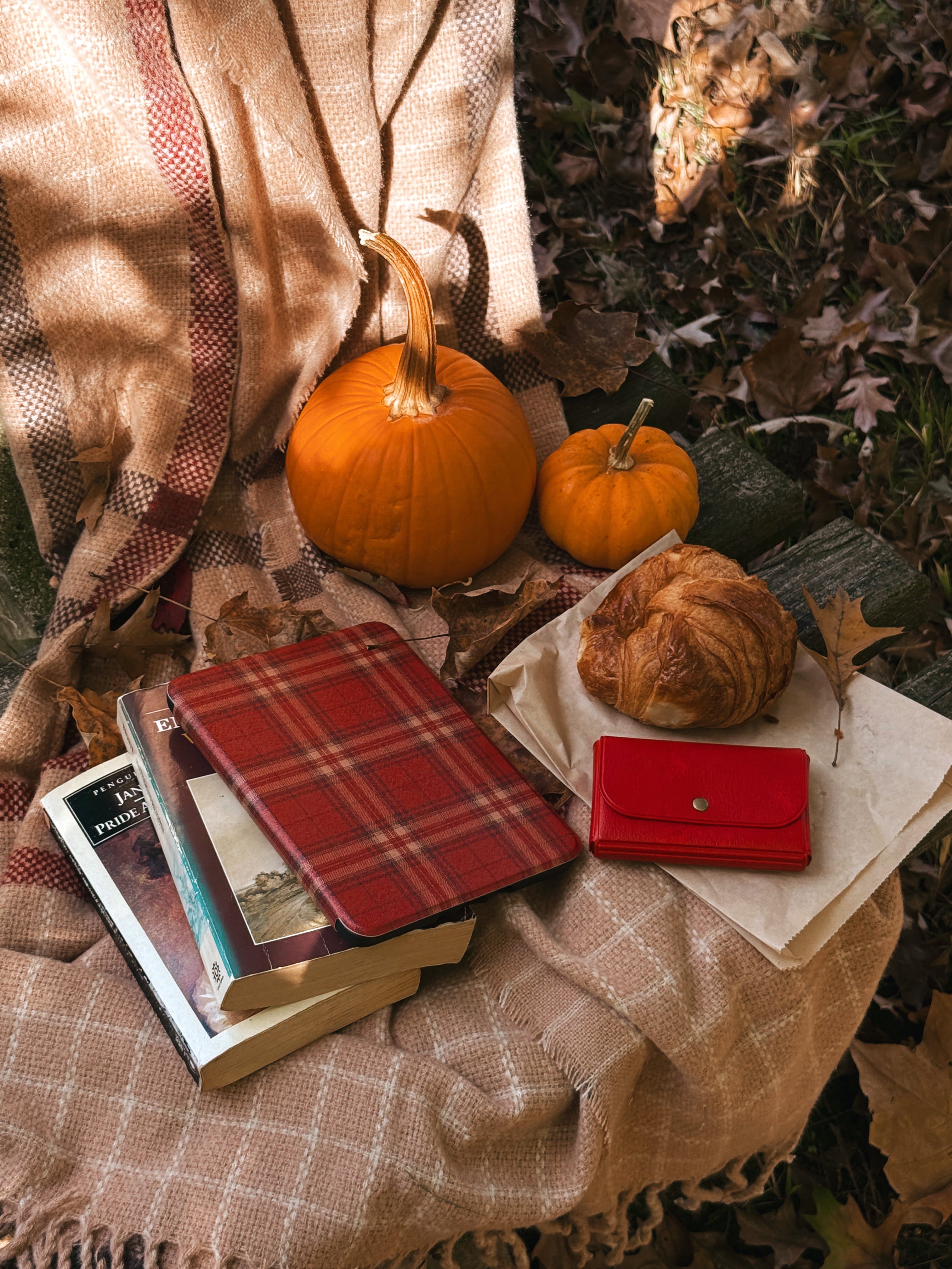 Plaid Shirt Days - Kindle Case