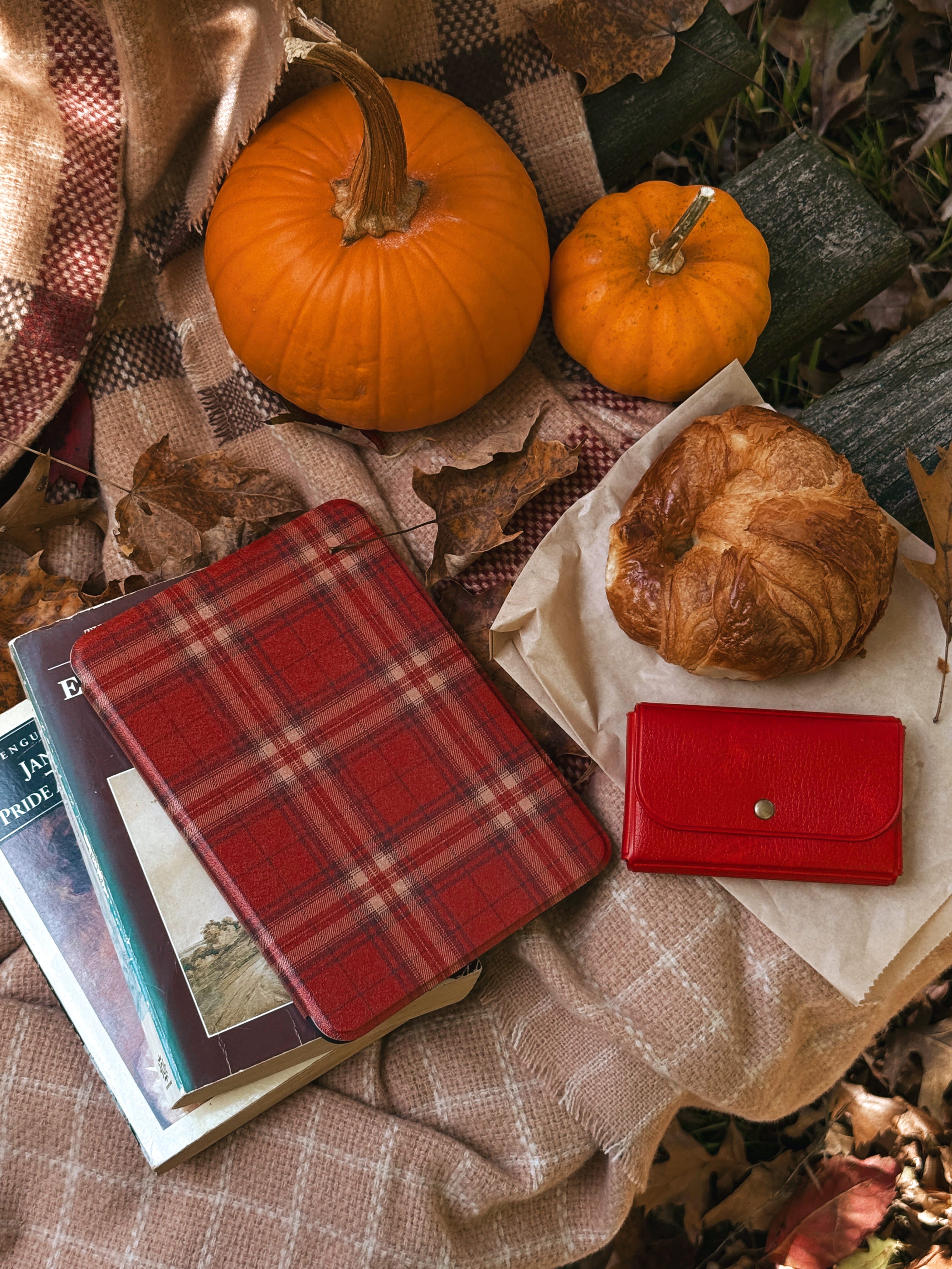 Plaid Shirt Days - Kindle Case