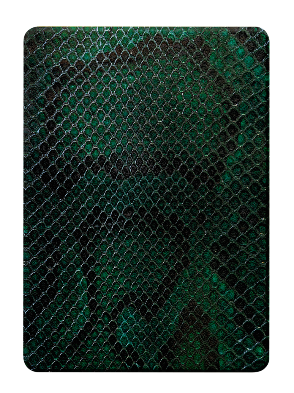 Vendetta - Kindle Case